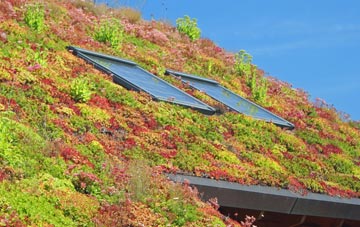 Castle Gresley living roof systems