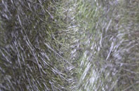 Castle Gresley fibreglass roof work